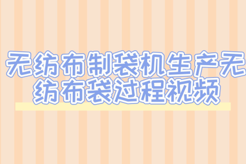 浙江正威無紡布制袋機(jī)生產(chǎn)無紡布購物袋過程視頻
