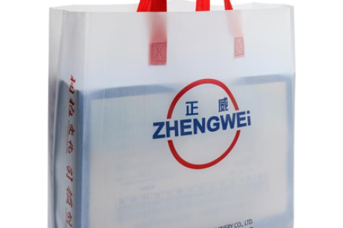 ZW-SC600 無(wú)紡布風(fēng)琴立體袋制袋機(jī)